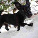 Nuri spielt im Schnee