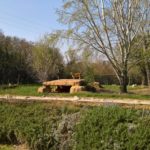 Tiger steht auf einem Felsen
