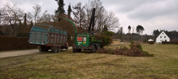 Der Hacker verarbeitet bereits die Hecke zu Hackschnitzel