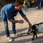 Dominik im Streichelzoo streichelt eine Ziege