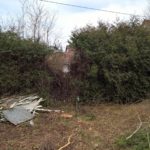 Eine sehr mitgenommene Hecke als Ausgangslage