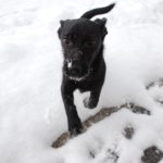 Nuri entdeckt den Schnee