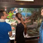 Patrick, Carina und Dominik schauen Terrarium an